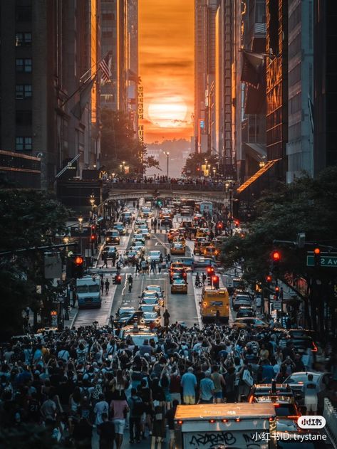 Manhattan Henge, New York Wallpaper, Breathtaking Scenery, York Wallpaper, Awesome Wallpapers, January 4, The Shot, The Spot, Scenery Wallpaper