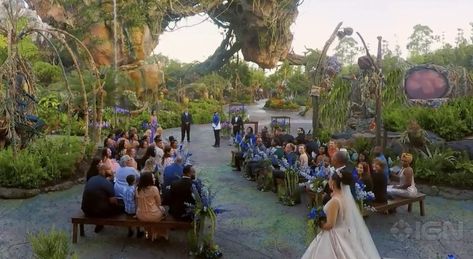 Disney Hosts First Ever Wedding in ‘Pandora - The World of Avatar’ Disney World Pandora, Disneyworld Wedding, Avatar Wedding, Pandora Wedding, Disney Avatar, Disney Fairytale Wedding, Disney World Wedding, Disneyland Castle, Disney Fairy Tale Weddings