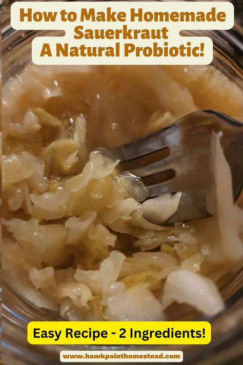 Fermenting foods is a great and healthy way to preserve food. One of the easiest is sauerkraut. It only takes 2 ingredients, salt and cabbage. And just a little bit of time and effort.  The result is a tasty, tangy and healthy sauerkraut. Sauerkraut is full of probiotic benefits, but it has to be raw. When sauerkraut is cooked, canned or posturized it kills the good bacteria and the probiotics.  This recipe is a great way to make natural sauerkraut and is so easy! How To Make Sauerkraut, Sour Crout, Diy Sauerkraut, Fermenting Foods, Pickled Eggs Recipe, Pumpkin Butter Recipe, Homemade Sauerkraut, Probiotic Benefits, Sauerkraut Recipes