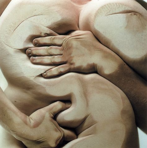 Glen Luchford, Jenny Saville, 3d Studio, Natural Form, A Level Art, Human Figure, In The Flesh, Body Image, Life Drawing