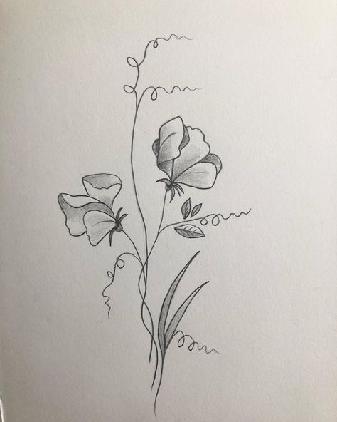 Flower Tattoos Sweet Pea, Sweet Peas Drawing, Sweat Pea Tattoo Design, Sweet Pea Flower Vine Tattoo, Tattoos Sweet Pea, Sweat Pea Drawing, Sweet Pea Back Tattoo, Sweet Pea Drawing Tattoo Ideas, Sweet Pea Wrist Tattoo