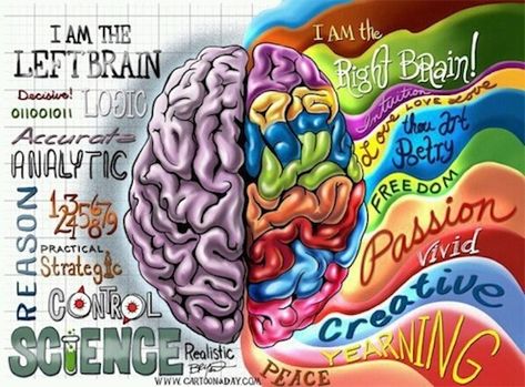 I am right brain dominant with high left leanings too---almost both~ Left Vs Right Brain, Left Brain Right Brain, Brain Illustration, The Human Brain, Right Brain, Buzzfeed Quizzes, Human Brain, Art Classroom, Neuroscience