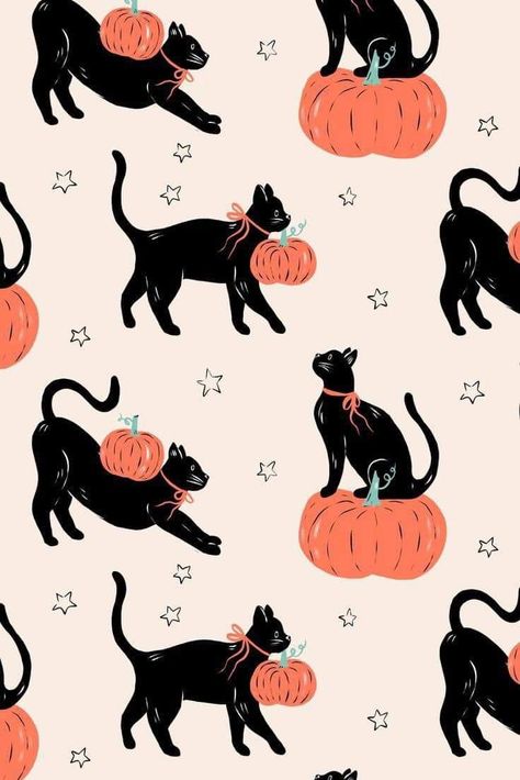 Halloween Cushion, Fall Illustration, Facts About Halloween, Fall Cats, Pumpkin Wallpaper, Lost Socks, Halloween Facts, Dog Patterns, Thanksgiving Wallpaper