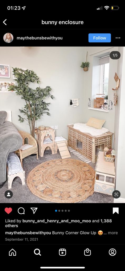 House Rabbit Setup Ideas, Aesthetic Bunny Cage Indoor, Bedroom Bunny Setup, Boho Bunny Enclosure, Alternative Room Ideas, Bunny In Bedroom, Bunny Pen Indoor Aesthetic, Aesthetic Bunny Cage, Bunny Cages In Bedroom