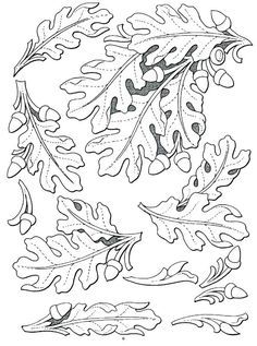 Oak leaf and acorn patterns Leather Patterns Templates, Leather Working Patterns, Leather Tooling Patterns, Tooling Patterns, Leather Craft Patterns, Pattern Template, Wood Carving Designs, Wood Burning Patterns, Leather Workshop