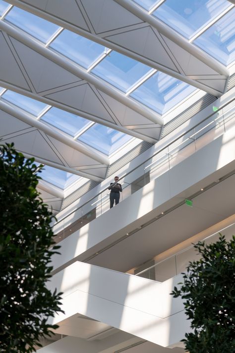 Natural light fills Samson Pavilion in Cleveland by Foster + Partners Skylight Architecture, Central Atrium, Building Components, Atrium Design, Skylight Design, Outdoor Toilet, International Architecture, Glazed Walls, Big Building