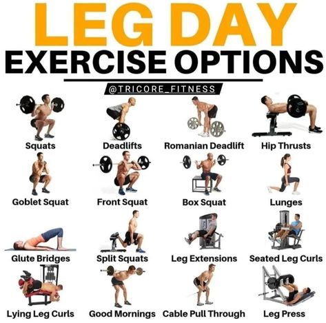 https://linktr.ee/Tricore_fitness Office Workouts, Leg Workouts For Men, Gym Routines, Leg Workouts Gym, Leg Workout Routine, Best Leg Workout, Leg Workout At Home, Leg Workouts, Leg Training