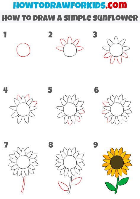 How To Draw Plants Step By Step Easy, How To Draw An Easy Flower, Easy To Draw Sunflowers, How To Draw A Step By Step Flower, Easy Step By Step Flower Drawing, How To Draw A Sun Flower, Step By Step Flower Drawing Easy, Easy Flower Drawings Simple Step By Step, Easy Flower Tutorial Drawing