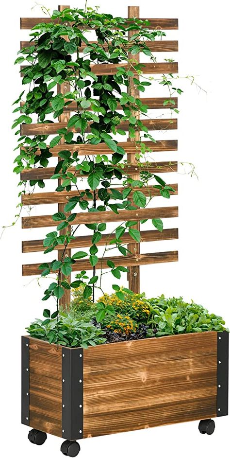 Amazon.com: Outsunny Raised Garden Bed, Wooden Planter with Trellis and Metal Corners, Portable on Wheels, to Grow Vegetables, Herbs, and Flowers for Patio, Backyard, Deck : Patio, Lawn & Garden Wooden Planters With Trellis, Raised Garden Bed With Trellis, Garden Bed With Trellis, Planter With Trellis, Above Ground Garden, Outdoor Raised Garden Beds, Wooden Raised Garden Bed, Elevated Gardening, Planter Trellis