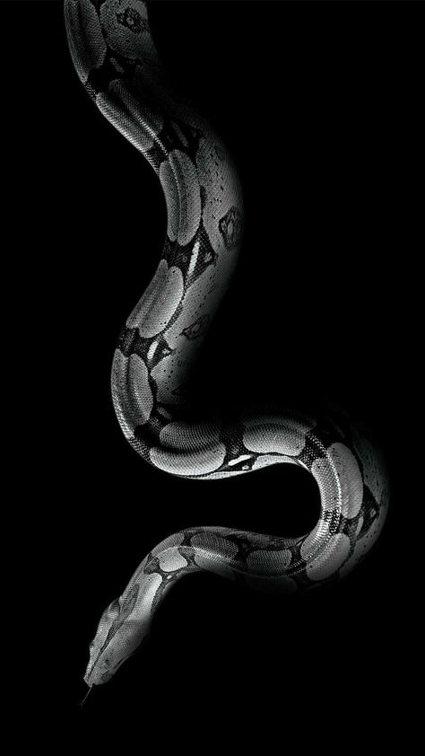 Black Snake Wallpaper Aesthetic, Xr Wallpaper, Snake Facts, Snake Oil, Pretty Snakes, Snake Wallpaper, Basic Girl, Cute Snake, Snake Art