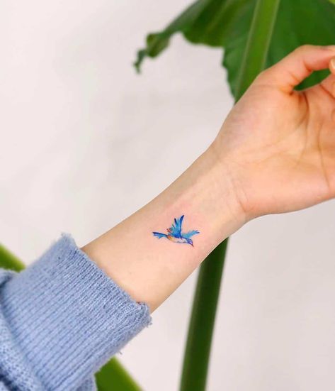 Small Bluebird Tattoo 9room_tattoo Blue Bird Tattoo, Blue Jay Tattoo, Olive Tattoo, Micro Tattoo, Tiny Bird Tattoos, Bluebird Tattoo, Bird Tattoos For Women, Light Tattoo, Tattoo Shows