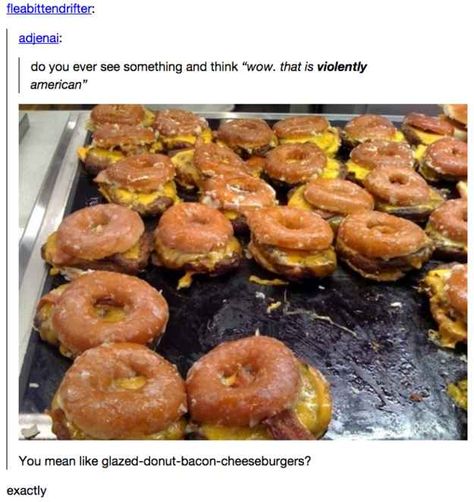 When they didn’t see the beauty in this light snack.<that looks delicious Facts About America, Only In America, This Is Your Life, Clean Humor, Funny Tumblr Posts, America And Canada, It Goes On, American Food, Funny Pins