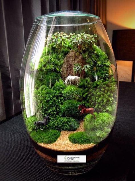 Mini Jardin Zen, Terrarium Scene, Flower Garden Ideas, Garden Landscaping Diy, Terrarium Ideas, Beautiful Terrariums, Mini Terrarium, Garden Design Layout, Bottle Garden