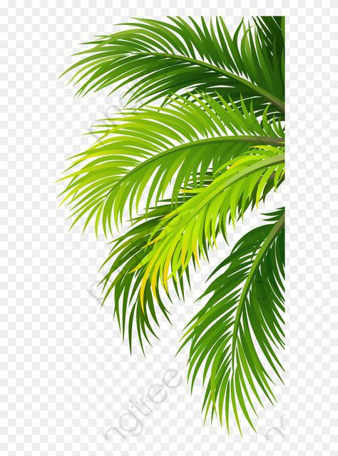 Palm Tree Sticker, Plant Png, Leaf Png, Coconut Leaves, Tree Sticker, Watercolour Texture Background, Leaves Watercolor, Background Images For Editing, Blur Background In Photoshop