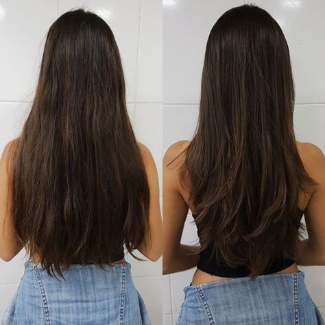 Oval Long Hair, Long Brown Hair Cuts With Layers, Thinning Out Thick Hair Before And After, Long Brunette Haircut Face Framing, Layers For Long Hair Unstyled, Long Brown Hair With Long Layers, Layers In Back Of Hair, Longhair Haircut Straight, V Cut With Layers Long Hair