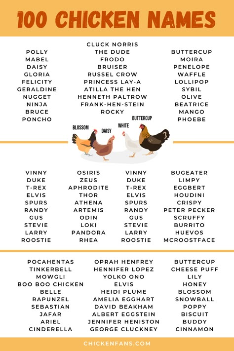 A poster with 100 chicken names Chicken Name Tags, Cute Names For Chickens, Old Lady Chicken Names, Chicken Name Ideas, Rooster Names Funny, Chicken Coop Names Clever, Chicken Names Hens Funny, Chicken Names Funny, Chicken Names Hens