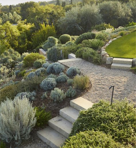 Lush Lawn, Sloped Garden, Garden Steps, Landscape Architecture Design, Mediterranean Garden, Patio Landscaping, Native Garden, Home Landscaping, Green Lawn