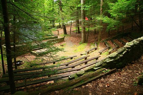 Forest Amphitheater, Outdoor Ampitheater, Starry Ceiling, Camping With Cats, Tree Lined Driveway, Future Farms, Art Retreats, Outdoor Theater, Community Living