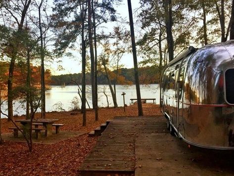 Fishing Dock, Natchez Trace, Park Ranger, Camping Spots, Back Road, Beautiful Park, Mississippi State, Forest River, Rv Life