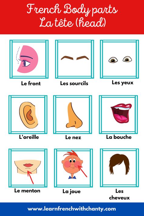 French Body Parts, Body Parts Preschool Activities, French Printable, Body Parts For Kids, Foreign Language Classroom, Body Parts Preschool, French Flashcards, French Kids, Basic French Words