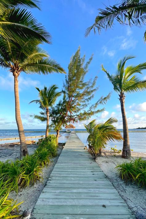 15 Stunning Beaches and Cayes in Belize - Page 15 of 15 Travel Belize, Belize Beach, Mangrove Forest, Black Sand, Beach Lovers, White Sand, Unesco World Heritage Site, Unesco World Heritage, Heritage Site