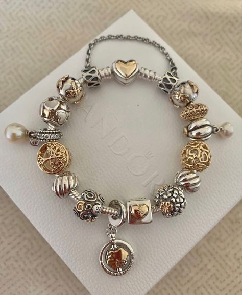 Pandora Bracelet Mixed Metals, Silver Pandora Bracelet With Gold Charms, Gold And Silver Pandora Bracelet, Pandora Silver Bracelet, Capsule Wardrobe Jewelry, Pandora Bracelet Charms Ideas, Pandora Bracelet Designs, Dream Bracelet, Preppy Jewelry