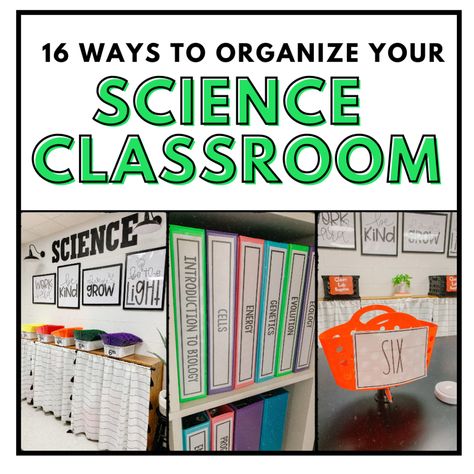 16 Ways to Organize Your Science Classroom ⋆ The Trendy Science Teacher 7th Grade Science Classroom Decorations, Science Classroom Decorations Highschool, Middle School Science Classroom Decor, Life Science Classroom, High School Science Classroom, Elementary Science Classroom, Middle School Science Classroom, Science Room, Science Classroom Decorations