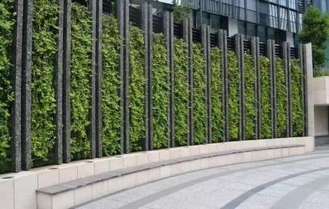 Artificial Grass Design, Green Grass Wall, Privacy Screen Ideas, Boundry Wall, Fancy Fence, Bike Box, Green Wall Design, Garden Screens, Privacy Ideas