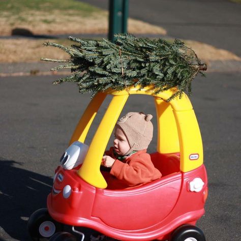 Child i side a tyke car with a Christmas tree on top Kid Cudi, Funny People, Dog Pictures, Funny Kids, Christmas Shopping, Funny Photos, Christmas Humor, Funny Images, Funny Jokes