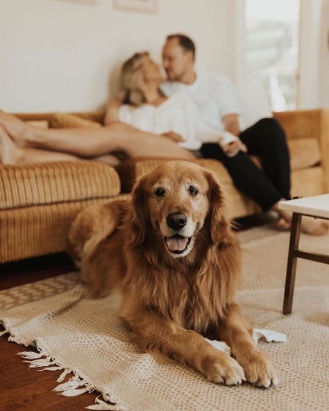 First Home Pictures, Dog Family Pictures, Indoor Engagement Photos, Lifestyle Photography Couples, Cute Golden Retriever, Animal Photoshoot, Social Media Marketing Tips, Home Photo Shoots, Photos With Dog