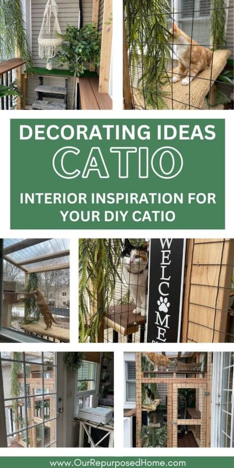 Turn your catio into a cat paradise with these decorating ideas! Learn how to create a safe and stimulating outdoor space for your cat to enjoy. Catio Ideas Cat, Diy Cat Wall Ideas, Cat Ideas For Home, Cattery Ideas, Cat Daycare, Pet Rooms, Kitten Nursery, Cat Rooms, Cat Breeding