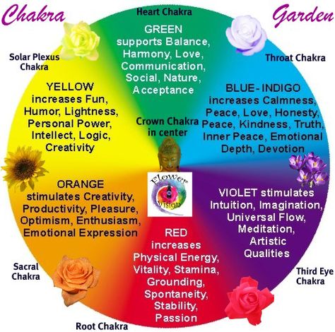 Chakra Flowers, Chakra Garden, Garden Yoga, Chakra Chart, Chakra Health, Om Aum, Base Chakra, Chakra System, Energy Medicine