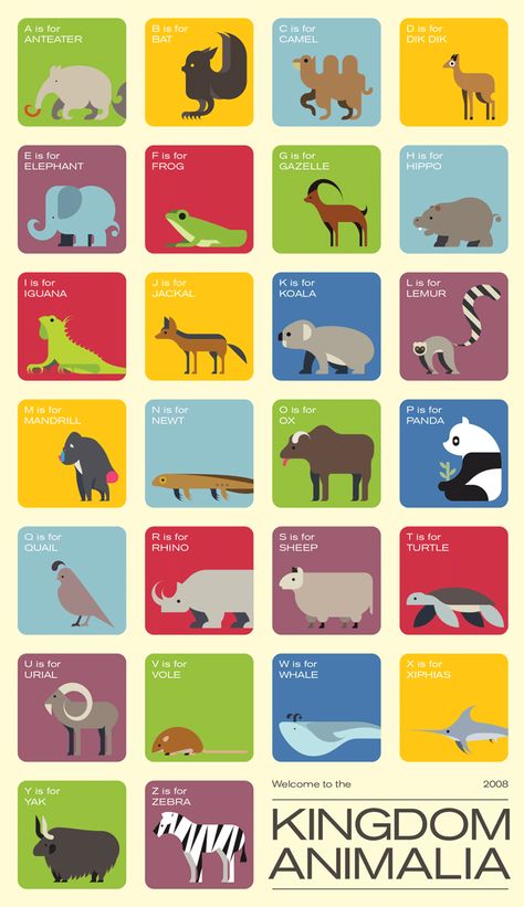 The Kingdom Animalia - Alphabet animals Zoo Poster Design, Zoo Signage, Alphabet Animals, Museum Exhibition Design, Kingdom Animalia, Graphics Layout, Infographic Illustration, 카드 디자인, Signage Design