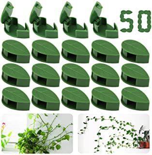 Plant Climbing Wall, Plant Cages, Vine Decoration, Wall Clips, Plant Clips, Plant Hooks, Support Plante, Vine Wall, Walled Garden