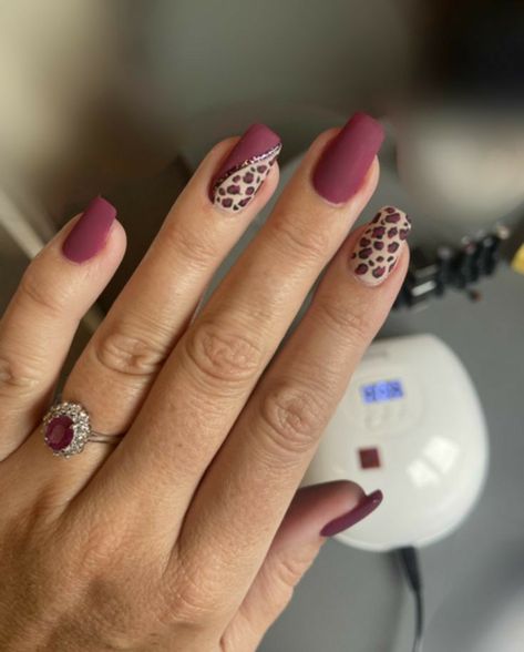 Gel Nails Animal Print, Nail Art Leopard Print, How To Cheetah Print Nails, Animal Print Tip Nails, Animal Art Nails, Animal Nails Art, Nail Art Designs Leopard Print, Animal Print Short Nails, Animal Prints Nail Art