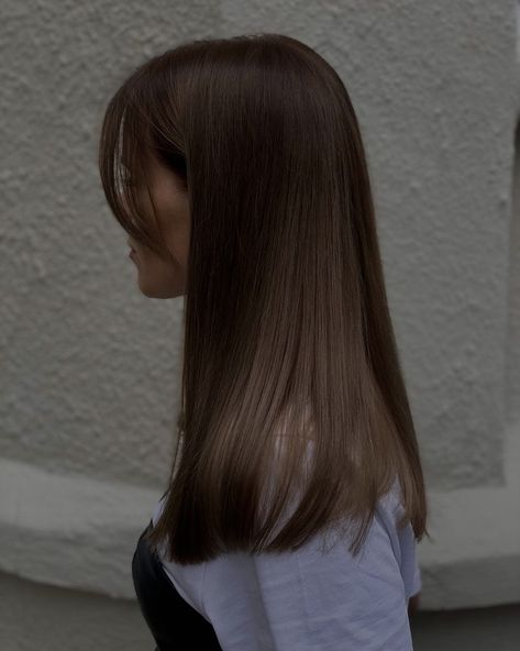 Side Part With Bangs, Dark Brown Hair Rich, Rebonded Hair, Rich Brown Hair, Medium Length Hair Straight, Ulzzang Hair, Dark Brunette Hair, Haircuts For Medium Length Hair, Brown Hair Inspo