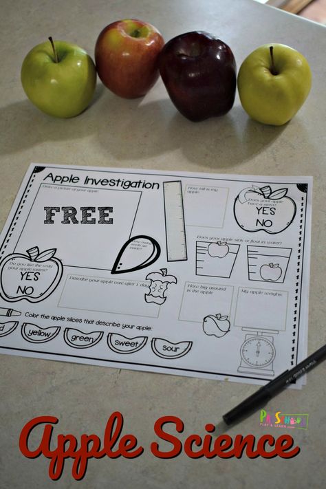 FREE Apple Science Experiment Worksheet Apple Experiments For Kindergarten, Science Experiment Worksheet, Apple Experiment, Science For Preschoolers, Apple Science Experiments, Apple Science, Apple Week, Apple Kindergarten, Apple Life Cycle