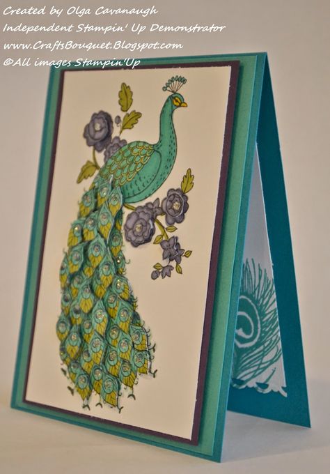 Stampin'Up Perfect Peacock Hand Made Greeting Cards, Bee Cards, Stampin Up Catalog, Making Greeting Cards, Bird Cards, Animal Cards, Pretty Cards, Card Sketches, Peacocks