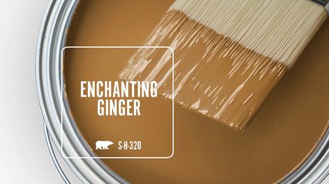 ENCHANTING GINGER S-H-320 | Behr Paint Colors Gold Paint Behr, Gold Hearted Behr Paint, Fresh Croissant Behr Paint, Rust Exterior Paint House Colors, Behr Herb Cornucopia, Brown Paint Colors Behr, Behr Dark Brown Paint Colors, North Woods Behr Paint, Cognac Paint Color