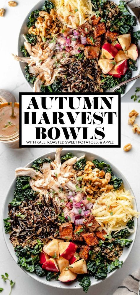 The coziest kale salad you'll ever meet – Autumn Grain Bowls! These hearty & healthy grain bowls are loaded with autumn-inspired ingredients - kale, wild rice, quinoa, roasted sweet potatoes, apple, & smoked gouda - & finished with creamy cinnamon maple balsamic vinaigrette. These cozy harvest bowls are perfect for a healthy dinner this fall! Great warm or cold, meal prep-friendly, easily vegetarian, vegan, &/or dairy-free. #fallrecipes #healthyfallsalads #grainbowls #fallkalesal Healthy Grain Bowls, Maple Balsamic Vinaigrette, Harvest Bowls, Maple Balsamic, Healthy Bowls Recipes, Grain Bowls, Fall Recipes Healthy, Smoked Gouda, Healthy Bowls