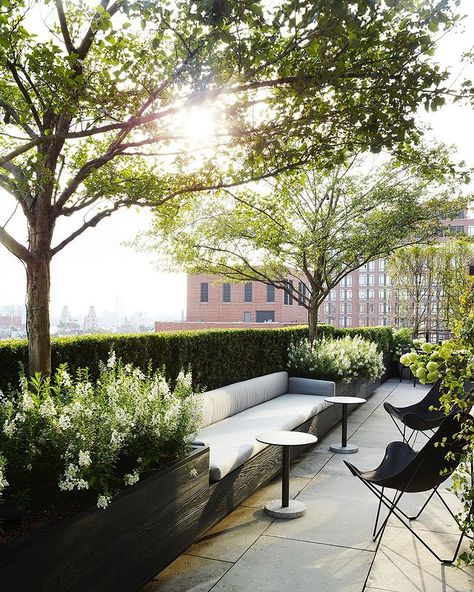 Outdoor • Instagram Monochromatic Apartment, Penthouse Terrace, Terrasse Design, Roof Garden Design, Roof Gardens, New York Architecture, Rooftop Design, Rooftop Terrace Design, Apartment Terrace