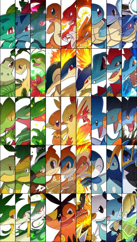 Starter Pokemon Generations Types Of Pokemon, Kartu Pokemon, 3d Pokemon, Pokémon Heroes, Gijinka Pokemon, Pokemon Mew, Pokemon Starters, Mega Pokemon, Cool Pokemon Wallpapers