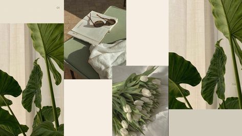 Sage collage with images of large and small leaves as well as sunglasses and white tulips. Laptop Wallpaper Plants Aesthetic, Laptop Wallpaper Desktop Wallpapers Aesthetic Sage Green, Laptop Wallpaper Aesthetic Green Sage, The Secret History Desktop Wallpaper, Sage Wallpaper Laptop, Laptop Wallpaper Desktop Wallpapers Aesthetic Vintage Green, Plant Aesthetic Wallpaper Laptop, Spring Laptop Background, Plant Wallpaper Laptop