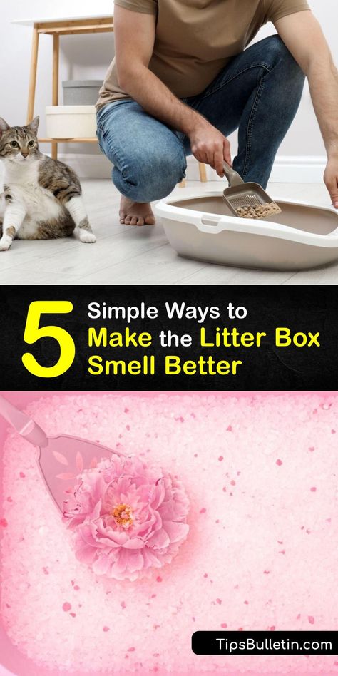 Learn how to clean your cats litter box, eliminate litter box odor, and keep your home smelling fresh. The best way to get rid of a litter box smell is to use clumping litter and apply baking soda for odor control. #howto #getridof #litter #box #odor How To Get Rid Of Cat Litter Box Smell, How To Get Rid Of Litter Box Smell, Litter Box Smell Hacks, Cat Litter Smell Get Rid Of, Self Cleaning Litter Box Cats, Diy Litter Box Cover, Litter Box Odor Control, Odor Eliminator Diy, Cat Litter Smell