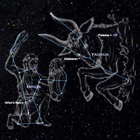 Location of the constellation of the Pleiades in Taurus Edmund Halley, Taurus Stars, Star Beings, Gray Witch, Orion Tattoo, Taurus Constellation Tattoo, Aries Constellation Tattoo, Orion's Belt, Orion Constellation