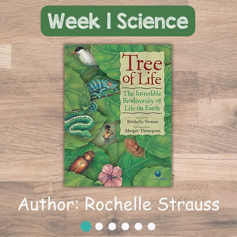 ✨📚 Cycle 1 Week 2 Picture books & lesson plans!✨ These are some picture books that my kids and I enjoyed reading during week 2. These relate to the memory work for Cycle 1 Week 2 in Classical Conversations! My kids are 5, 3 and 1 and these books were perfect for them! I also share my lesson plans for the week about how I practice the memory work at home with my kids. ✨Comment BLOG for a direct link to a EDITABLE and PRINTABLE template of them that you can use! ✨ You can download FREE game... Cc Cycle 3 Book List, Life Cycle Of A Plant Lesson Plan, Classical Conversations Cycle 3 Week 1, Classical Conversations Cycle 3 Science, Life Cycle Assessment, Free Game, Life On Earth, Classical Conversations, Work At Home