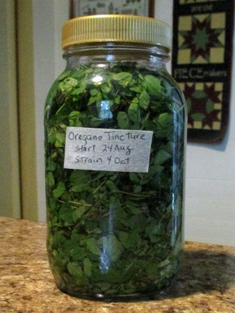 5 Acres & A Dream: Oregano Tincture Medicinal Herb Tinctures, How To Make Oregano Tincture, Oregano Medicinal Uses, Feverfew Tincture Recipe, Herbal Tincture Recipes Diy, Oregano Tincture Recipe, Oregano Tincture Benefits, Oil Of Oregano Recipe, Mullein Tincture Recipe