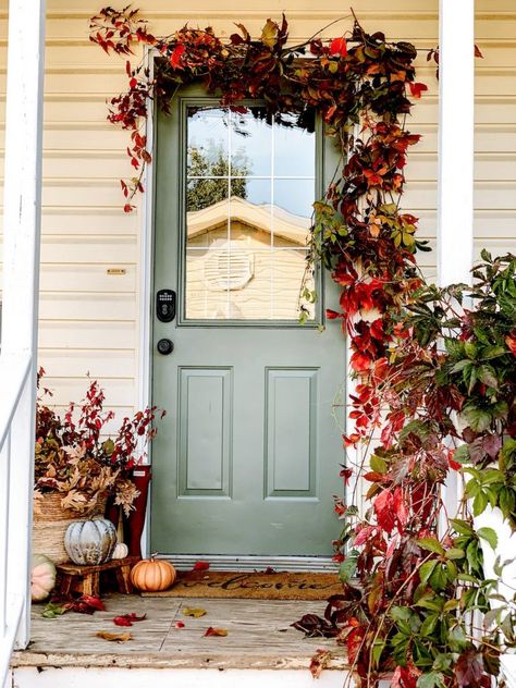 Easy back porch makeover with dried thyme paint by sherwin williams and fall decor ideas for your porch #falldecor #porchdecor #modernfarmhouse #homdecor #fallhomedecor #exteriordecor Back Porch Makeover, Front Yard Halloween Decorations, Porch Fall Decor, Outdoor Fall Decor Ideas, Fall Porch Decor, Porch Makeover, Fall Front Porch Decor, Fall Door Decorations, Halloween Tattoo