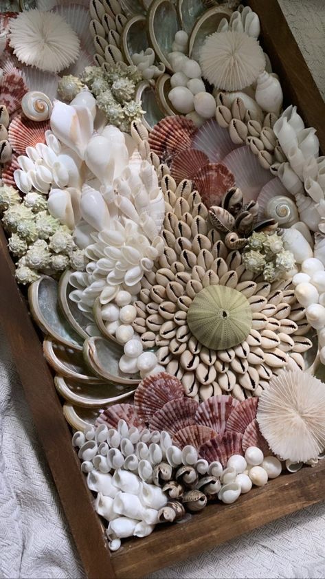 Seashell art