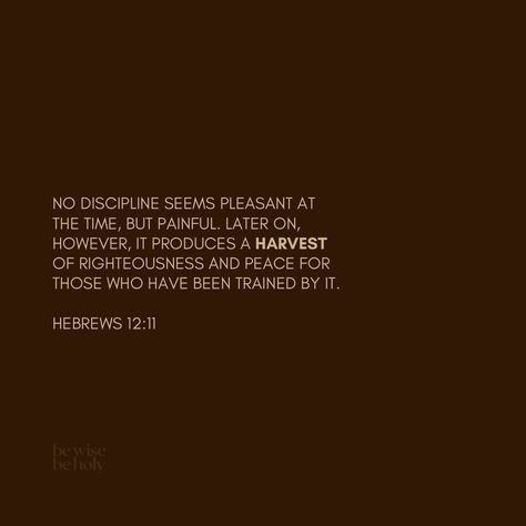 → Hebrews 12:11🕊️ @bewisebeholy Discipline leads to Habits. Habits lead to Consistency. Consistency leads to Growth. Hebrew 12:11, Hebrews 12:11, Hebrews 12 11, God's Sovereignty, Hebrews 12, Stay Blessed, Grow In Grace, Trust God, Jesus Christ